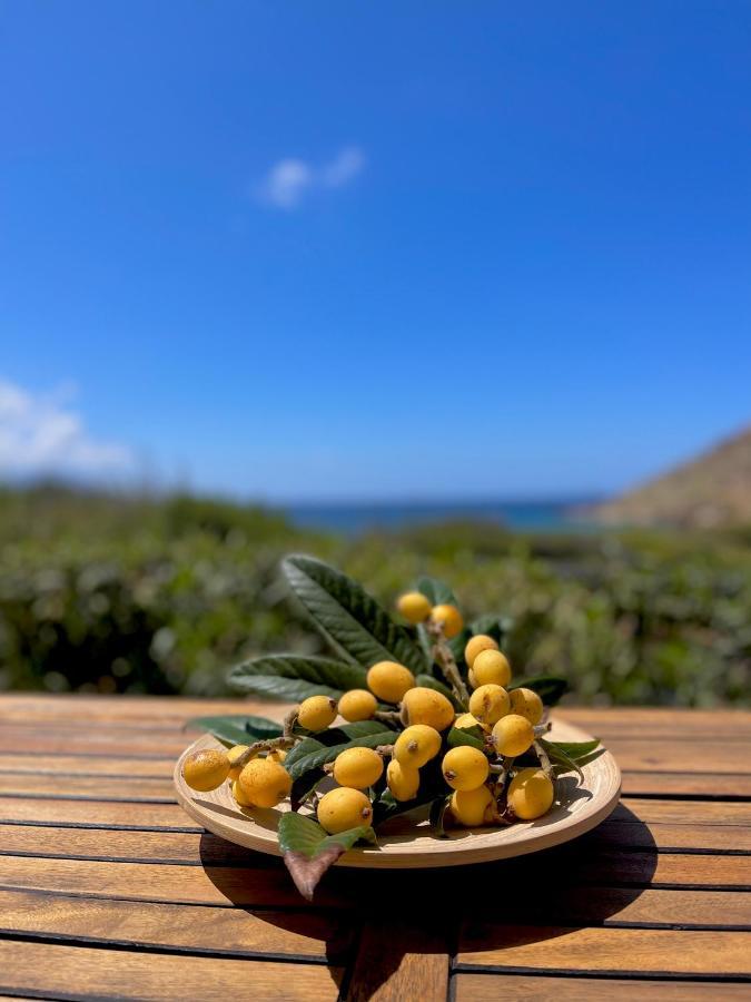 Seaside Studios Arkasa Karpathos Dış mekan fotoğraf