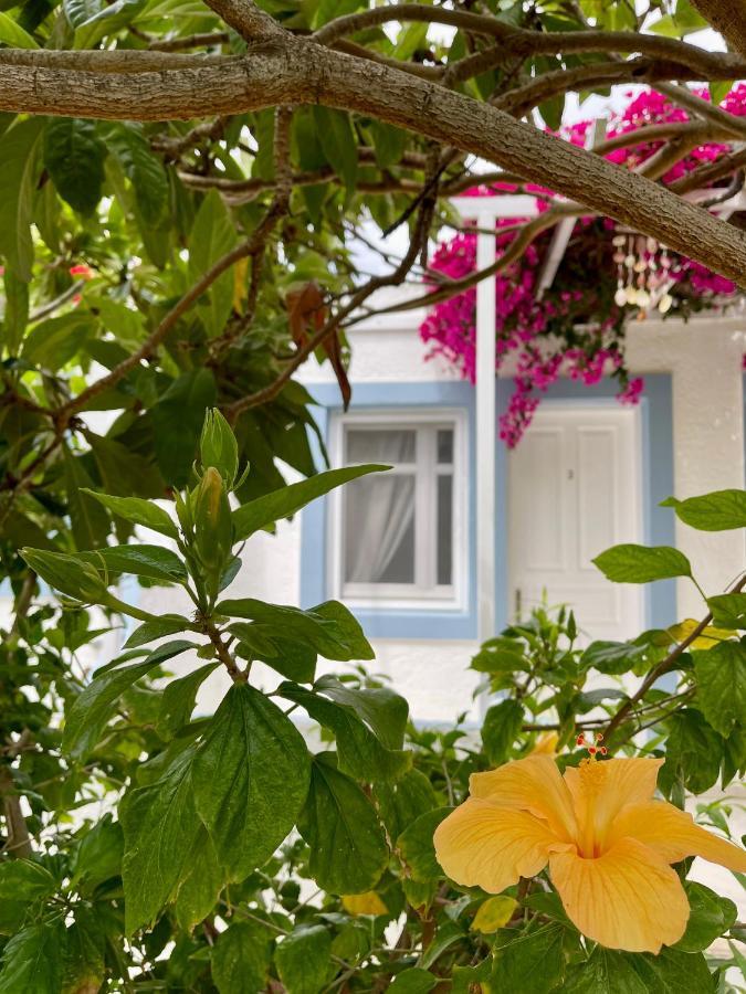 Seaside Studios Arkasa Karpathos Dış mekan fotoğraf